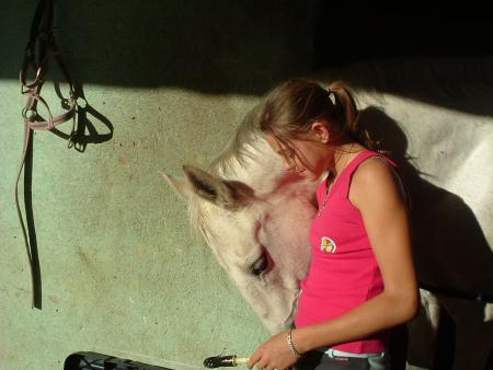  mous 2